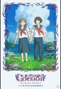 Poster for cocoon – One Summer of Girlhood (Eng Sub)