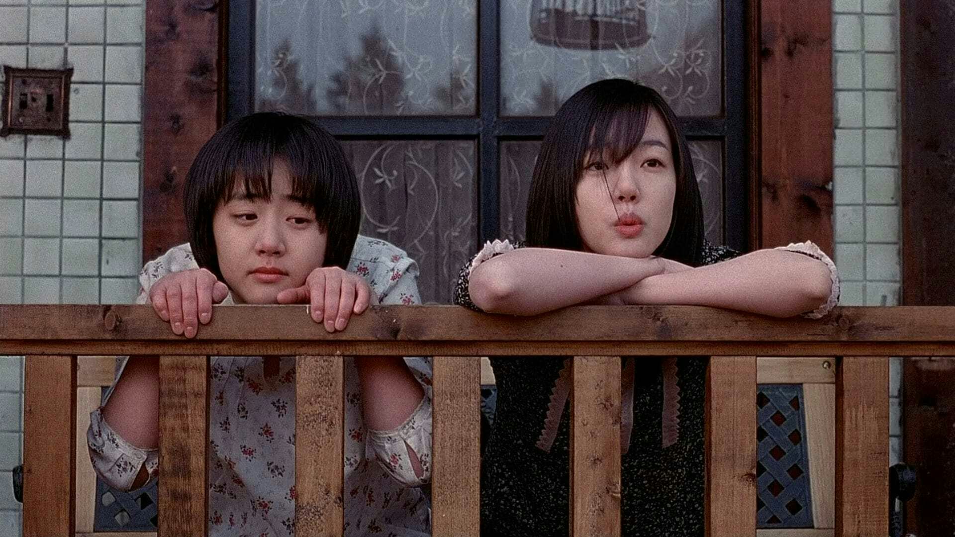 Poster for A Tale of Two Sisters