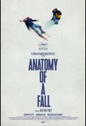 Poster for Anatomy Of A Fall