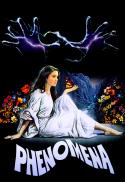 Poster for Basement Fest presents: Phenomena on VHS