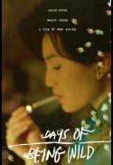 Poster for Days of Being Wild