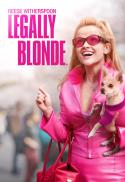 Poster for Legally Blonde