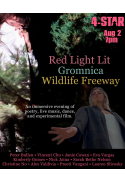 Poster for MUSIC: Wildlife Freeway, Gromnica, Red Light Lit
